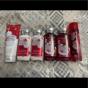 Japanese Cherry Blossom